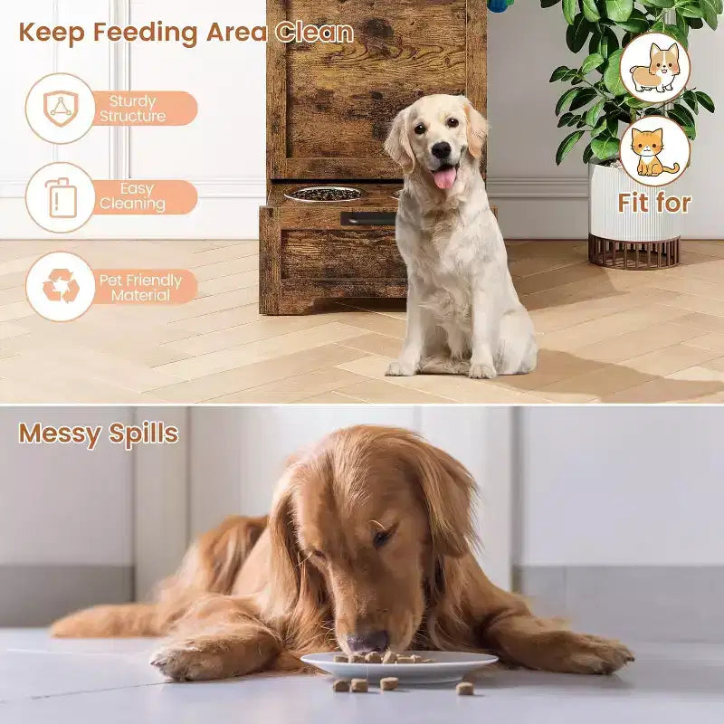 Gamelle surélevée pour chien intégrée et pliable