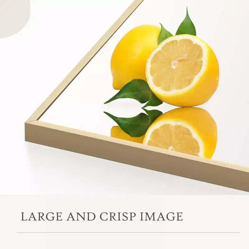 Miroir pleine longueur 16x59, verre HD incassable, cadre en métal